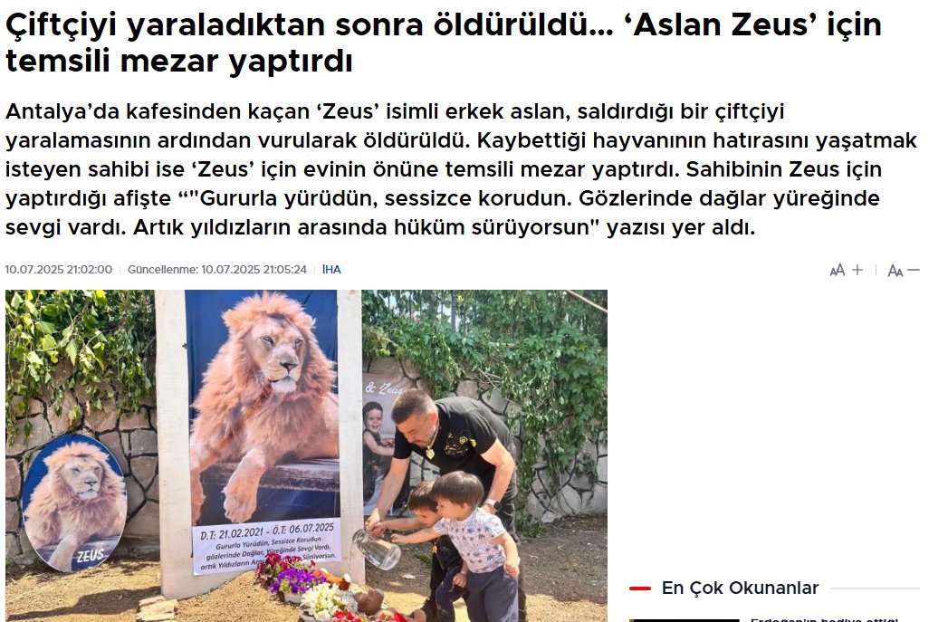 7belakedi's tweet photo. Aslan Zeusu vefat yıldönümü olan bugünlerde 
tekrar saygıyla anıyoruz. 
Sokakta başıboş hayvan olmaması gerektiğini  
ve ilgili kurumların insan canı söz konusu ise anında müdahil olması gerektiğini bir kez daha hatırlattı.  

#SokakHayvanlarıSahipsizDeğil se evinde yalla https://t.co/Ly5CWOKDQD
