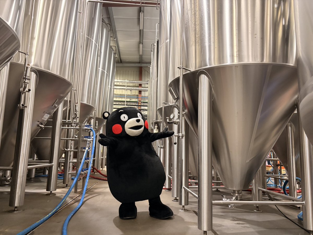 55_kumamon's tweet photo. ランスのおとなりの街『リール』にもおとずれたモン!世界遺���にも登録されている建物や塔がたちならんでいるモン!リールでは伝統的なお菓子作りや、ビール醸造所も見学したモン!フランスの食文化に触れることができたモン☆ ボクも美食家の仲間入りかモン!?#Hellolille #Lille https://t.co/XpQipzJ5kT