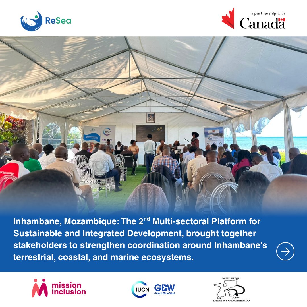 resea_project's tweet photo. 🥳In Mozambique, the Vilankulo Declaration marks a bold step for inclusive ocean governance and a regenerative blue economy.

#ReSeaProject #InclusiveGovernance #BlueEconomy #BluePartnerships #Mozambique

@CanadaDev @CanHCMozambique @IucnE @mulher_lei  @greatbluewall https://t.co/xu6vTsfWRu
