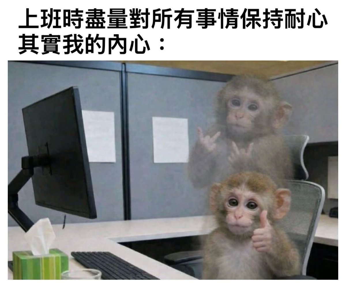 Hyper__Capital's tweet photo. 表面上：好的沒問題。 內心：到底是在講什麼🫠 #memes https://t.co/RjGwXfMGZS