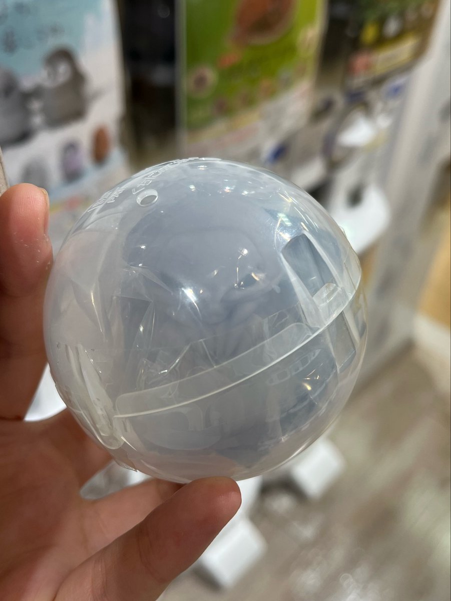 junajimina's tweet photo. 【交換希望】
まちぼうけ 深海のなかまの場合

譲... ダイオウグソクムシ
求... シーラカンス

出先のため下記の写真のみあります🙇
dmにてお声掛けお願いいたします https://t.co/mgwapo1KIB