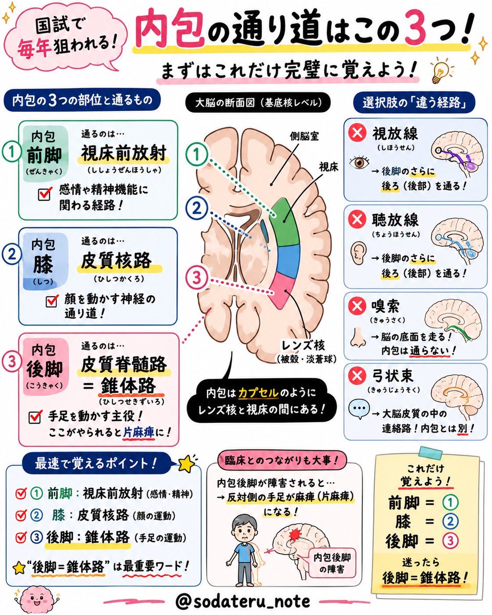 国試対策 国試対策