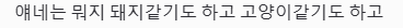 G4__Y4k's tweet photo. 뉴비의 모그리(생물) 첫감상: https://t.co/U14CN4OG7f