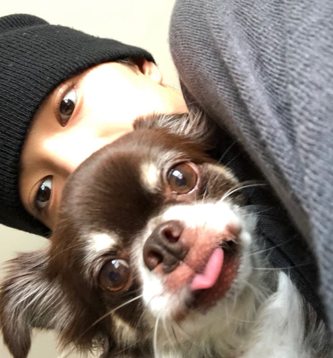 rhdrnsustod's tweet photo. 거노노와 쿠키 두마리견의 셀카가 너무 좋아서 거노 본가에 감금시키고싶어... https://t.co/yFGOhKYrca