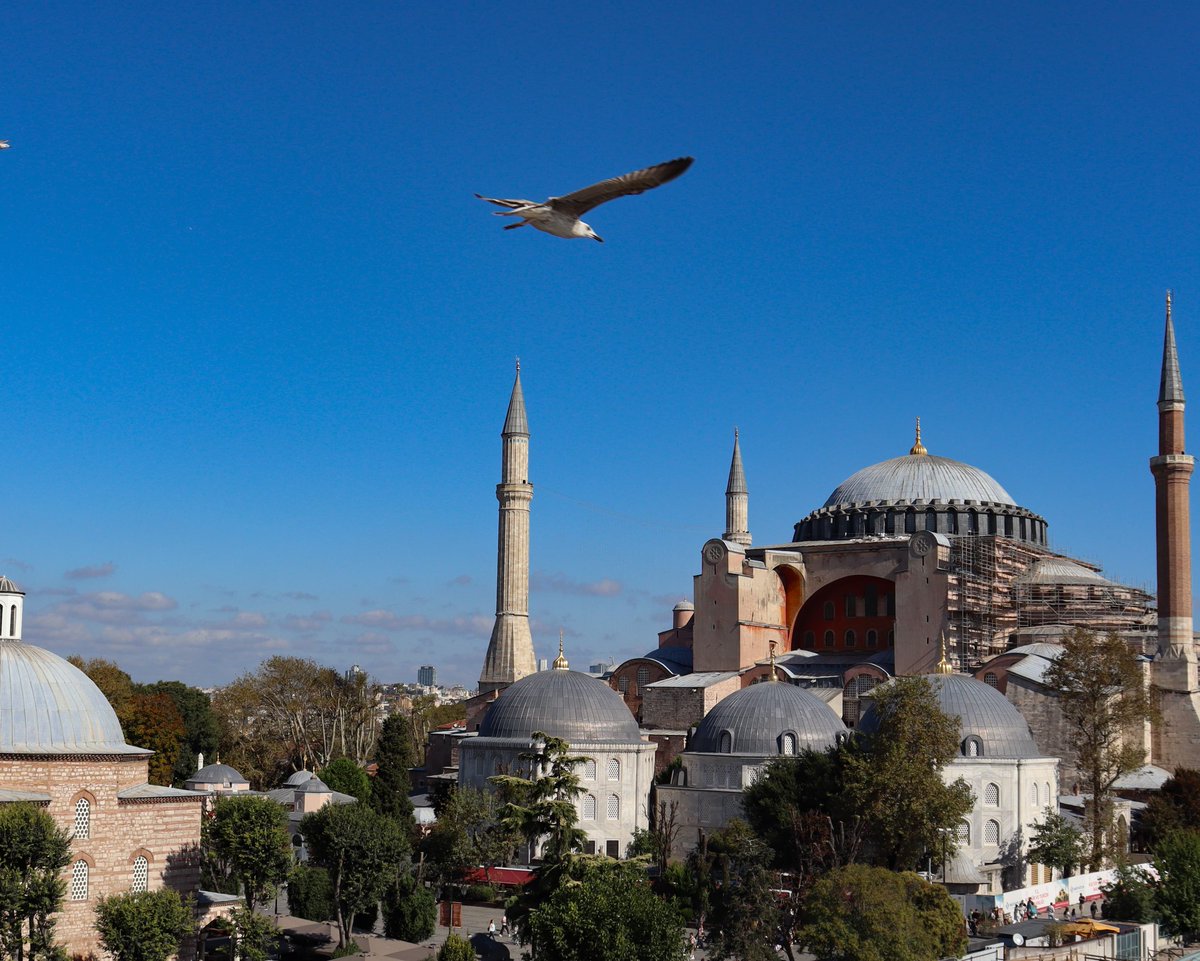 odtubirder's tweet photo. Fethin en şanlı nişanesi ve Fatih Sultan Mehmet Han’ın mukaddes emaneti Ayasofya-i Kebir Cami-i Şerifi, Sayın Cumhurbaşkanımız @RTErdogan'ın güçlü iradesiyle 6 yıl önce bugün aslına rücu ederek yeniden secdelerle ve dualarla buluştu.

​Sarsılmaz bir inancın, ecdada vefa davasının ve milletimizin bağımsızlık iradesinin en görkemli sembolü olan Ayasofya'nın minarelerinden yükselen o kutlu ezanlar, inşallah kıyamete kadar yankılanmaya ve fethin ruhunu gönüllerimizde yaşatmaya devam edecek. 🇹🇷

​#Ayasofya'nın esaretten kurtulup ibadete açılışının 6. yılı vesilesiyle Sayın Cumhurbaşkanımız @RTErdogan'a müteşekkiriz.

​Rabbimize Hamdolsun.

#odtubirder #METU #ODTÜ