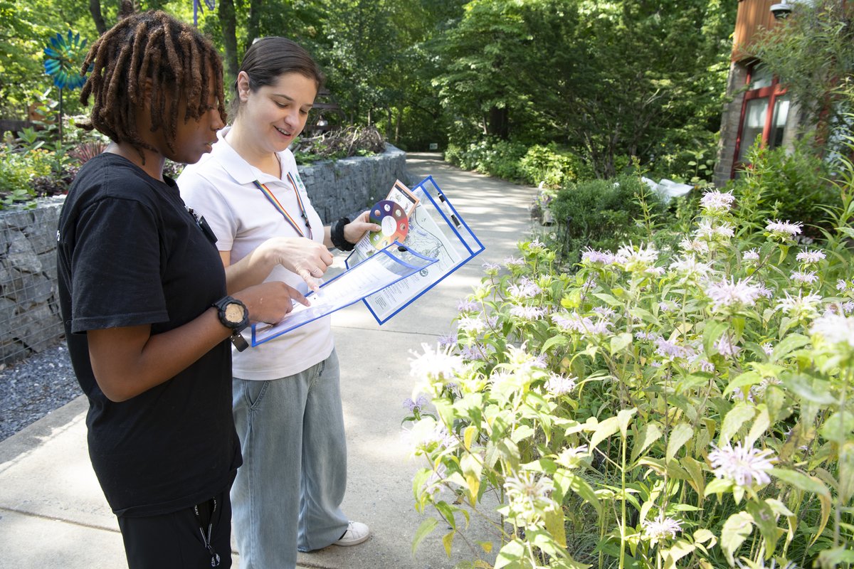 MCPS's tweet photo. 🌼 The classroom has a new view!

MCPS students are gaining valuable workplace experience at Brookside Gardens through @MCPS_SummerRISE, developing career-ready skills and getting a behind-the-scenes look at what it takes to keep the gardens blooming.

#MCPSFutureReady https://t.co/aXzwPaKCzN