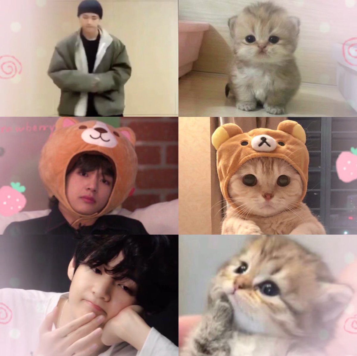 hrt4thv's tweet photo. happy national kitten day to the tiniest kittae ever 🐾🤏🏻 https://t.co/CxEadiQo7i
