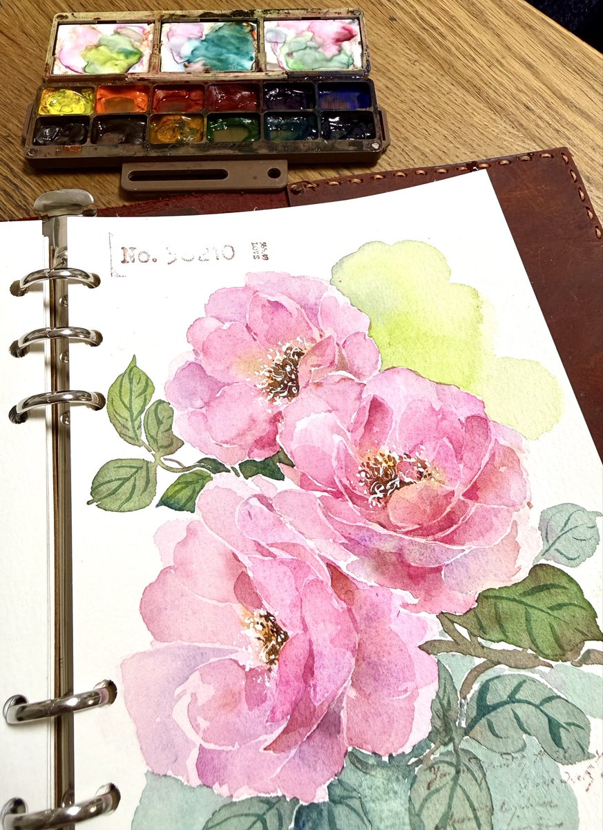 Tessa-Watercolor tweet media