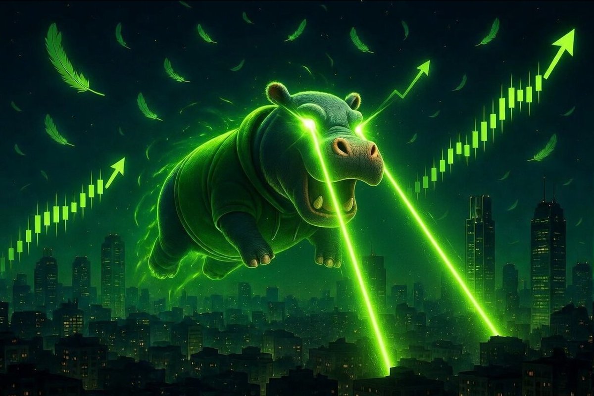 moodengonrobin's tweet photo. HOODENG has arrived in Robinhood City, ready to become the champion. 🏆 https://t.co/kHZ0EfX2mc