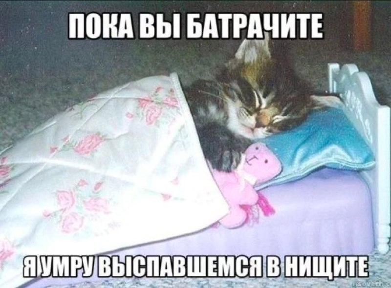 boringsquid's tweet photo. https://t.co/rI0APiuz9q