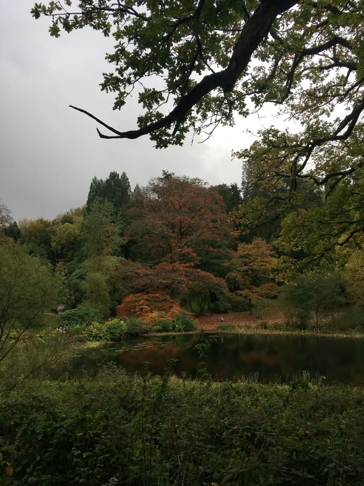 talya9646171863's tweet photo. What my soul craves🍂 https://t.co/Gl3Tsm0Ho4