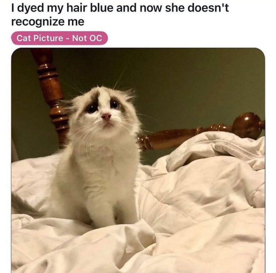 Underneath9890's tweet photo. @nocontextmemes https://t.co/N4u4DpSR9g