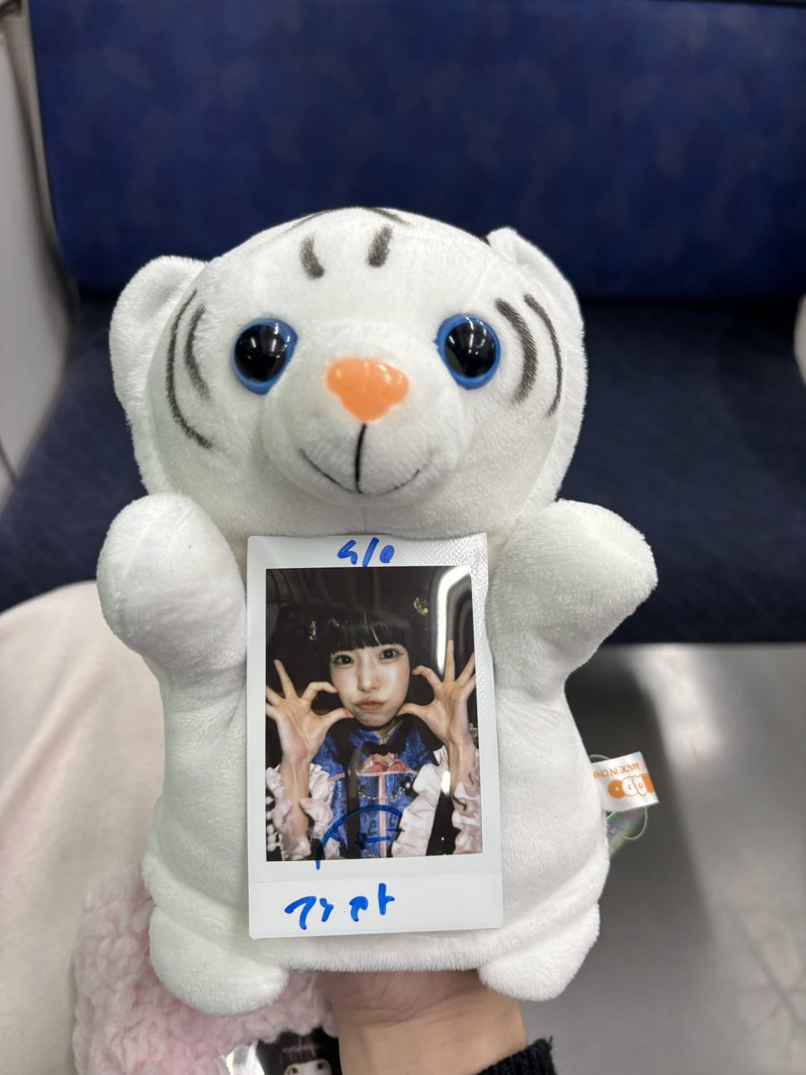 sonataaaaluv2's tweet photo. かれん17さい⬅️おめでとう ( ◡̀⩊◡́)🎂⭐️💕
東武動物公園で遊んできたから
この子（パペット）でおめでとうしたよ(ˆ ̳◝ ·̫ ◜ ̳ˆ)
かわいいって言っててかわいかった -  ̫-
あとでチェキツイする !!!!

 #そなた便り https://t.co/8TqQUfLaps