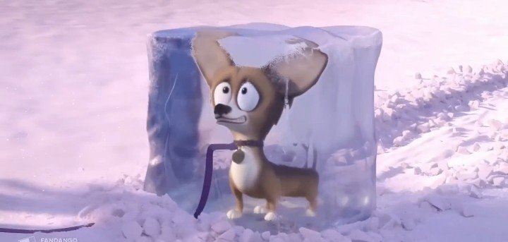 aliencitogei's tweet photo. Lo volveré a decir
Este perro parece sacado de hotel Transylvania que de angry birds https://t.co/XnJEFM5DWO