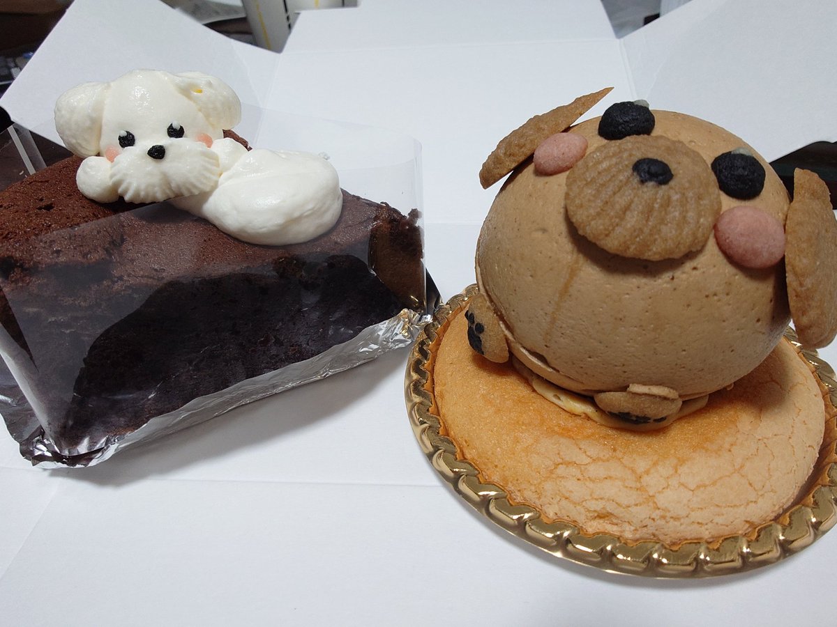 rintan19's tweet photo. わんこケーキ買ってきてくれた https://t.co/VmFayfQlpX