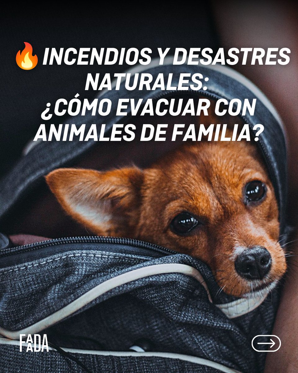 FAADA tweet media