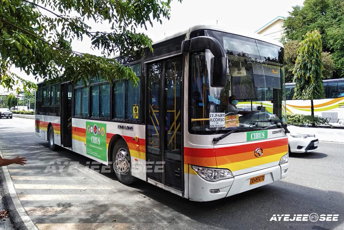 bini_writes's tweet photo. CEBU ALL IN FOR BINI 🌺❤️🇵🇭

Cebu City LGU has left no stone unturned for BINI’s historic SM Seaside Arena Cebu concert:

- 30 CIBUS deployment (+ the regular number of commercial buses)
- Truck Ban
- Traffic Code Orange (Ingress 8 am to 4 pm, Egress 4pm onwards) 

#BINI https://t.co/NUDky4oQyR