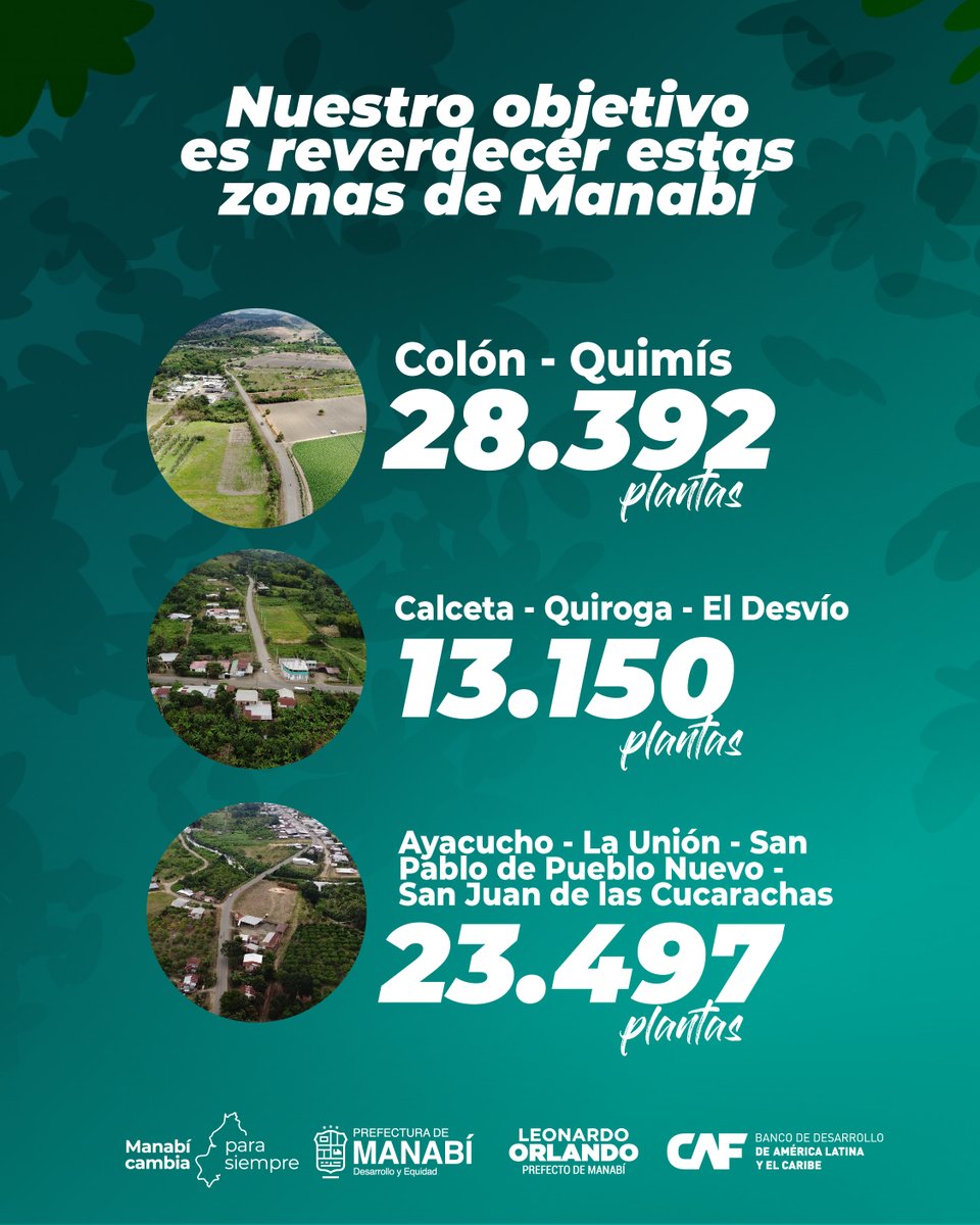 vdebicentenario's tweet photo. ¡Cada árbol que sembramos es una oportunidad para que la tierra siga dando vida!

Con el Plan Productivo de Restauración Forestal de las Vías del Bicentenario, demostramos que el desarrollo también puede dejar una huella verde.

@Leoorlandoa @PrefecturManabi https://t.co/HMCNTS6ISk