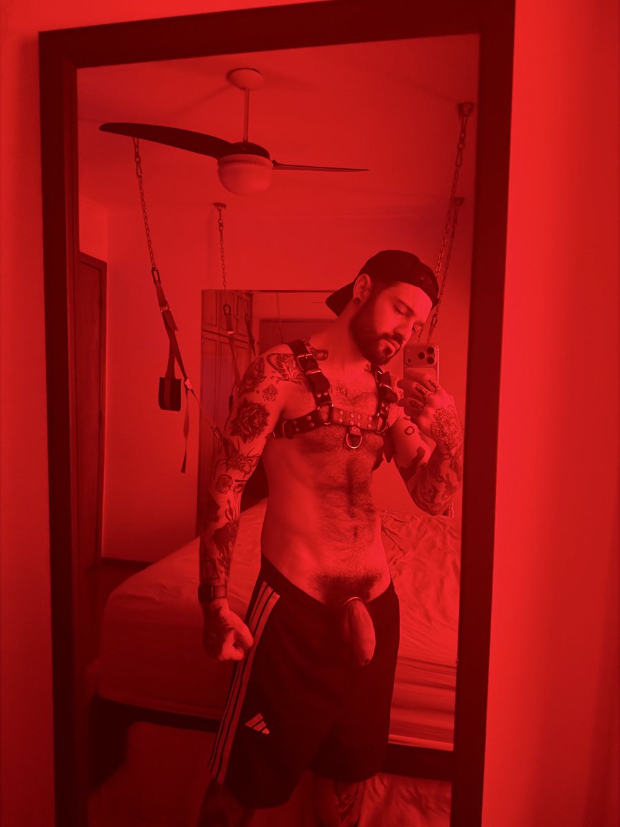 igorlucios's tweet photo. Who wants to take a ride on the sling? 😈🔥 https://t.co/0f5gZchIxR