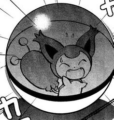 OoCPokemon's tweet photo. https://t.co/aY06ucvuy5