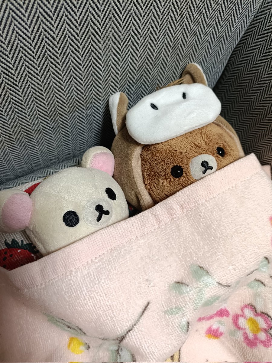 kuro_rilasuki's tweet photo. 今日もお疲れ様でした〜おやすみなさい😪
#ぬい撮り https://t.co/QRbUkWd415
