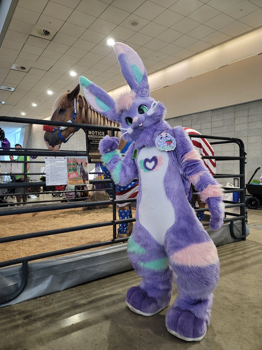 ItsBowieBun's tweet photo. Petah, the horse is here.

#FursuitFriday https://t.co/QP8TVTJ2qy