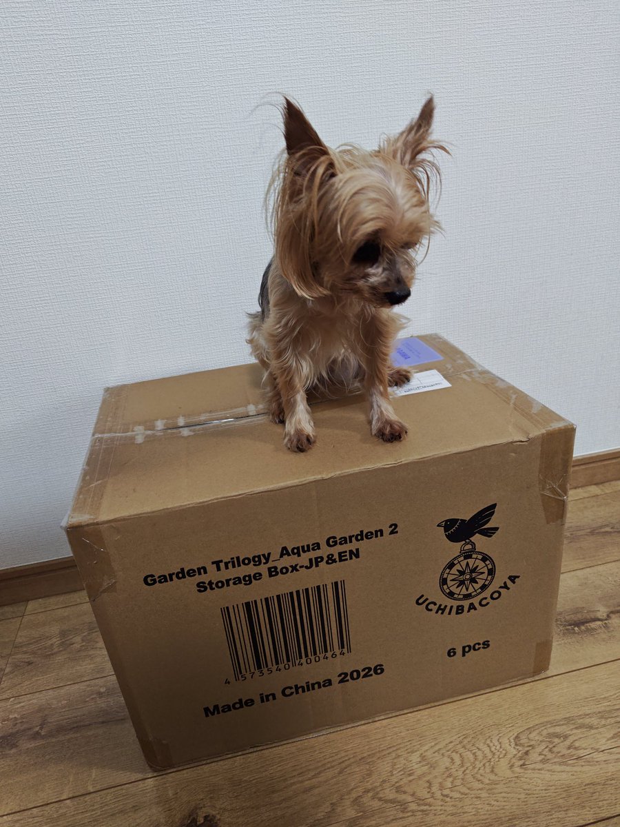 springrain_bg's tweet photo. ガーデン三部作着弾！
箱大きくて何が届いたかと思った（比較用犬）
箱絵繋がるのやっぱめっちゃ良い https://t.co/cIde3ycrLT