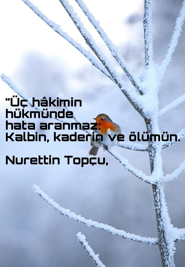 hcelik1907's tweet photo. Üç hakimin hükmünde hata aranmaz: 
Kalbin, kaderin ve ölümün. 

Nurettin Topçu https://t.co/qpg3E19FAO