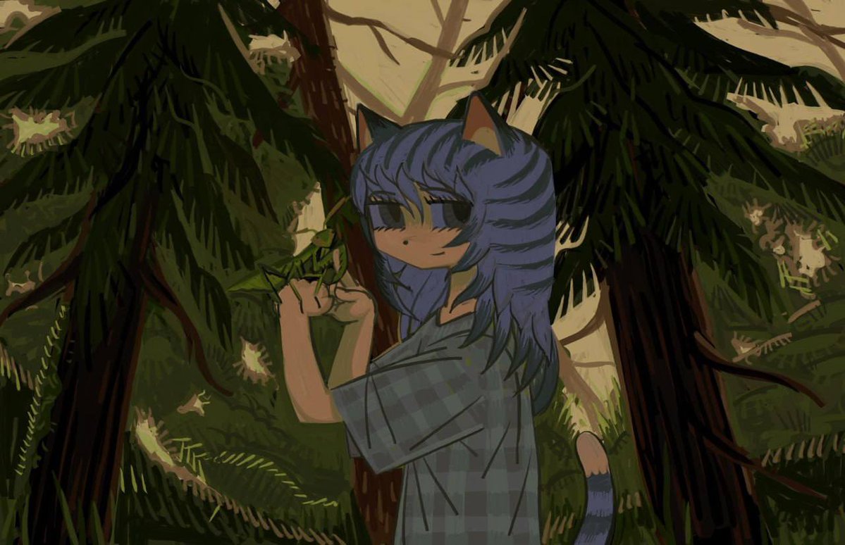 keroharakaeru's tweet photo. I love coniferous forests https://t.co/bEObwlGb4Y