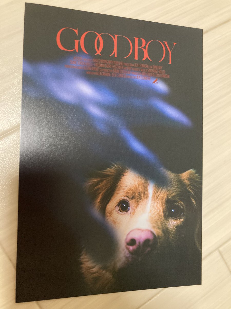 pyogo42's tweet photo. 犬のフスフスフスフスをたくさん聞ける映画
びっくりさせたり悲しい声上げさせたりするんじゃない
乱暴に両手で掴んでベッドから降りろとか言う飼い主は罰当たれ
あの高さから落ちたら犬はアカンと思う、猫じゃあるまいし
インディはとてもグッド・ボーイ https://t.co/Y3j0aT5O1t