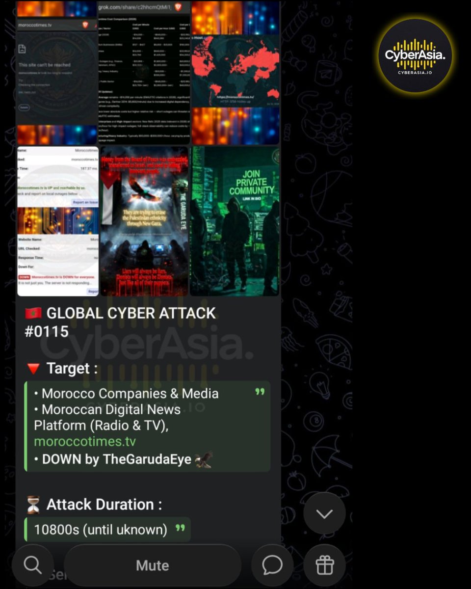 cyberasia_io's tweet photo. 🚨 Morocco Alert 🇲🇦

Pro-#Palestine hacktivist group #TheGarudaEye has launched a (Distributed Denial of Service) attack targeting https://t.co/PCgy0WieSO, the official digital news, radio, and television platform of #Morocco

#Cybersecurity #CyberSAttack #MoroccoTimes https://t.co/jT4ehq0MjP