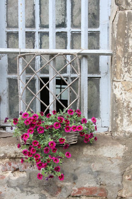 SalomeNotog8tk's tweet photo. يجد عندما يزرع القلب السلام الاشتياق الانسجام في لحظة صمت. marianela delcourt🌯 https://t.co/8EgLsJMLvy