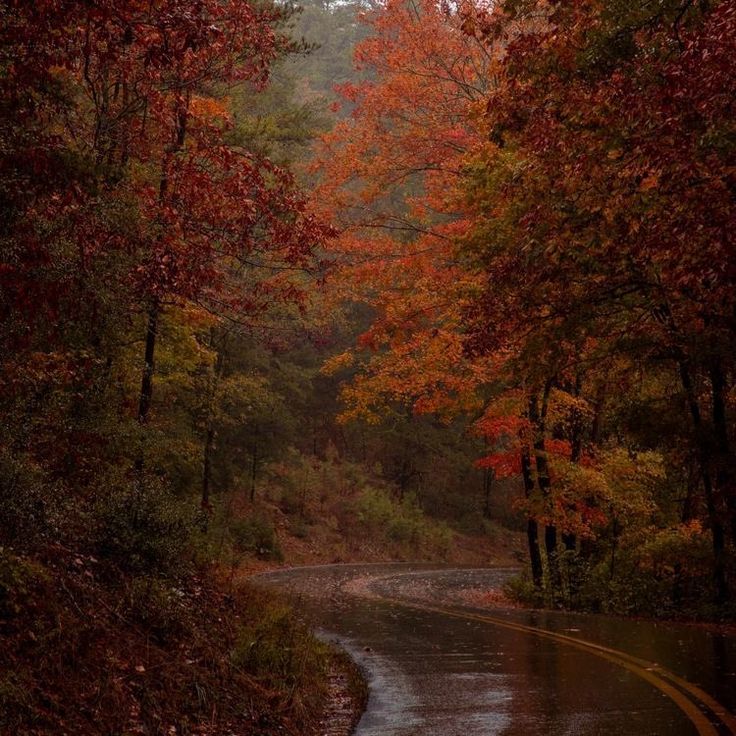 talya9646171863's tweet photo. What my soul craves🍂 https://t.co/Gl3Tsm0Ho4