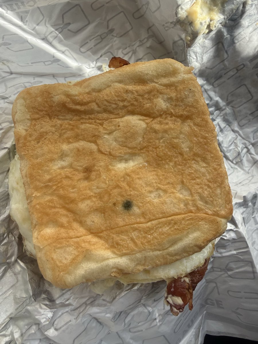 Say_rachael's tweet photo. @Wendys @ianmcconnellmus How can you serve people mold I went to Wendy’s today at 3138 S Carrollton Ave New Orleans Louisiana and got this I don’t know how many people could be sick or have food poisoning because of this https://t.co/dmOgBZKWjo