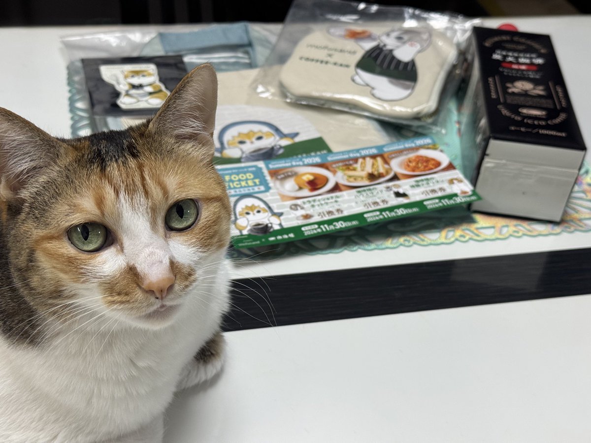 sakuragiaoi's tweet photo. 「おじゃまします」ななっちゃん🐈も🤣💕 https://t.co/OElMQy2MbK