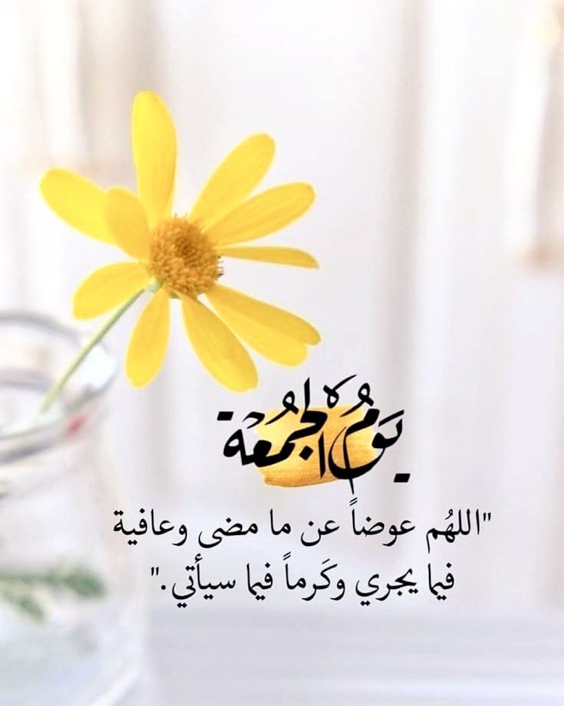 37Laam's tweet photo. #ساعه_استجابه
اللهم سُر خاطري بدعوات فاض بها القلب، وأجعل ما هو قادم خير مما مضي، وانير دربي، وارزقني السعادة والفرح، اللهم اكفني شر الدنيا، شر الفقد، شر الفاجعة، اللهم جمِّل حالي واجعلهُ حالاً يرضيك ثم يُرضيني يارب عاجلا غير اجل🤲♥️ https://t.co/Am5ByoNNLm