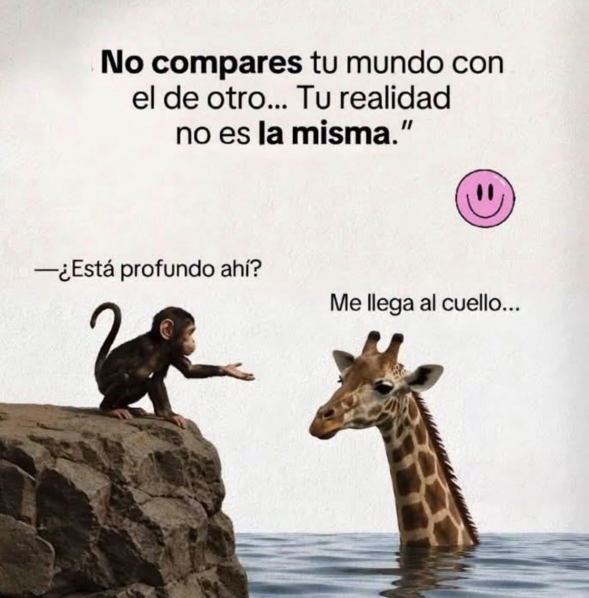lola7diaz's tweet photo. Tan simple y tan real. https://t.co/Rfaa9lrSLf