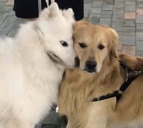 notdeishi's tweet photo. อย่า 555555555555555555555555555

#อรุณรุ่ง 
#InnOngsa https://t.co/ECe5k7nQDM