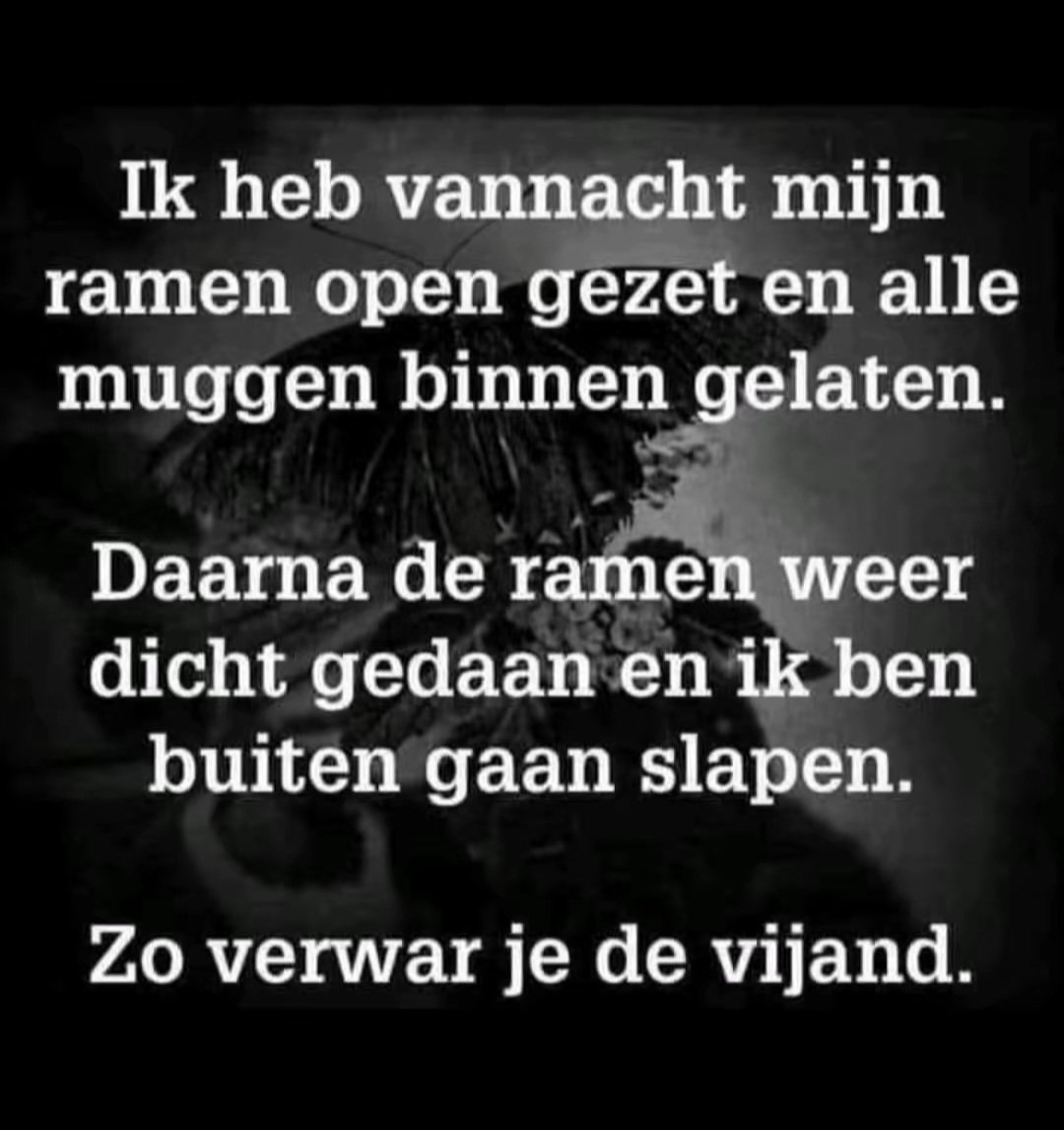 PetravanDoorn tweet media
