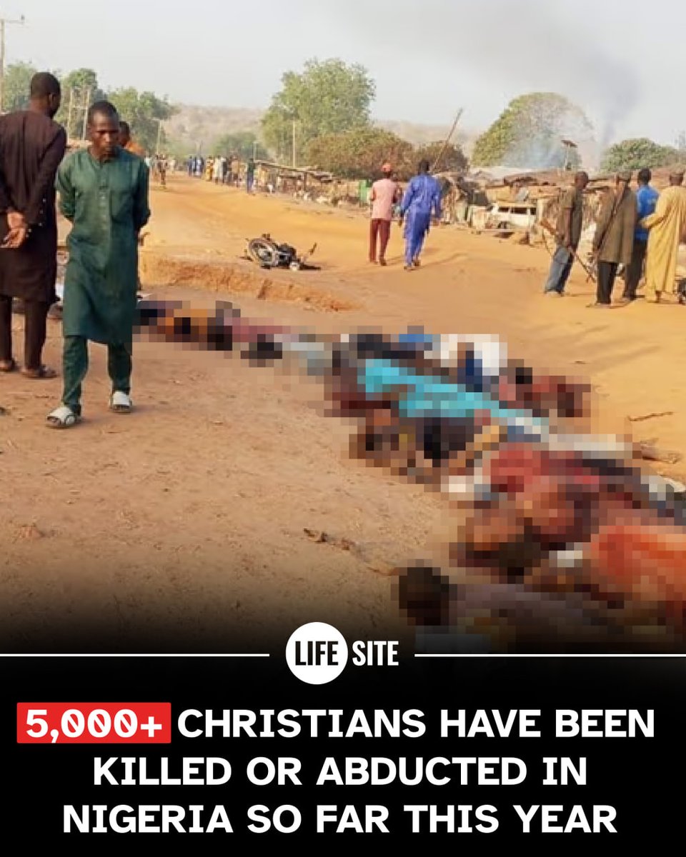 LifeSiteNews tweet media