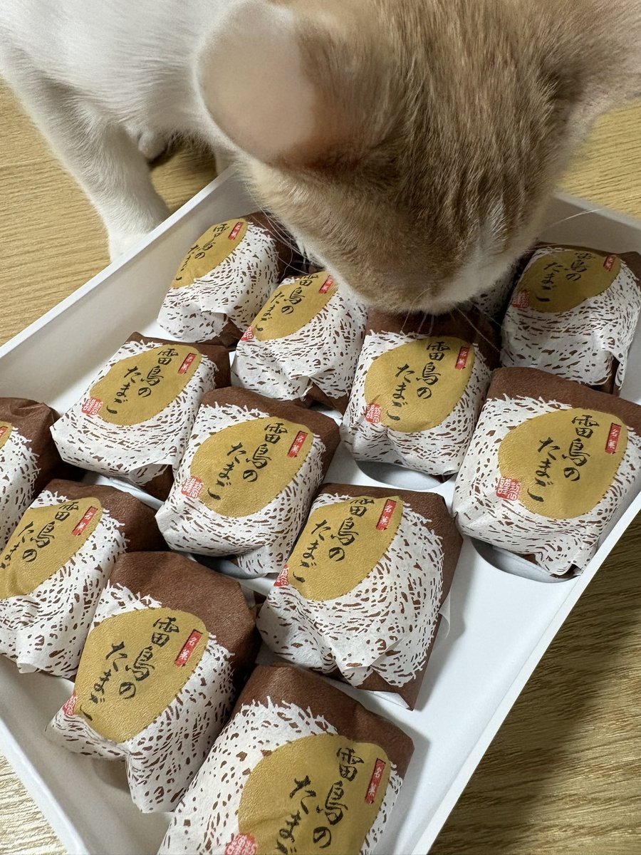 game2121pen's tweet photo. 雷鳥のたまごを買いました。
地方お土産の「◯◯のたまご」は全部美味しい。

いつか本物の雷鳥も、雷鳥の卵も食べようと思います。 https://t.co/ECgu1pxTJN