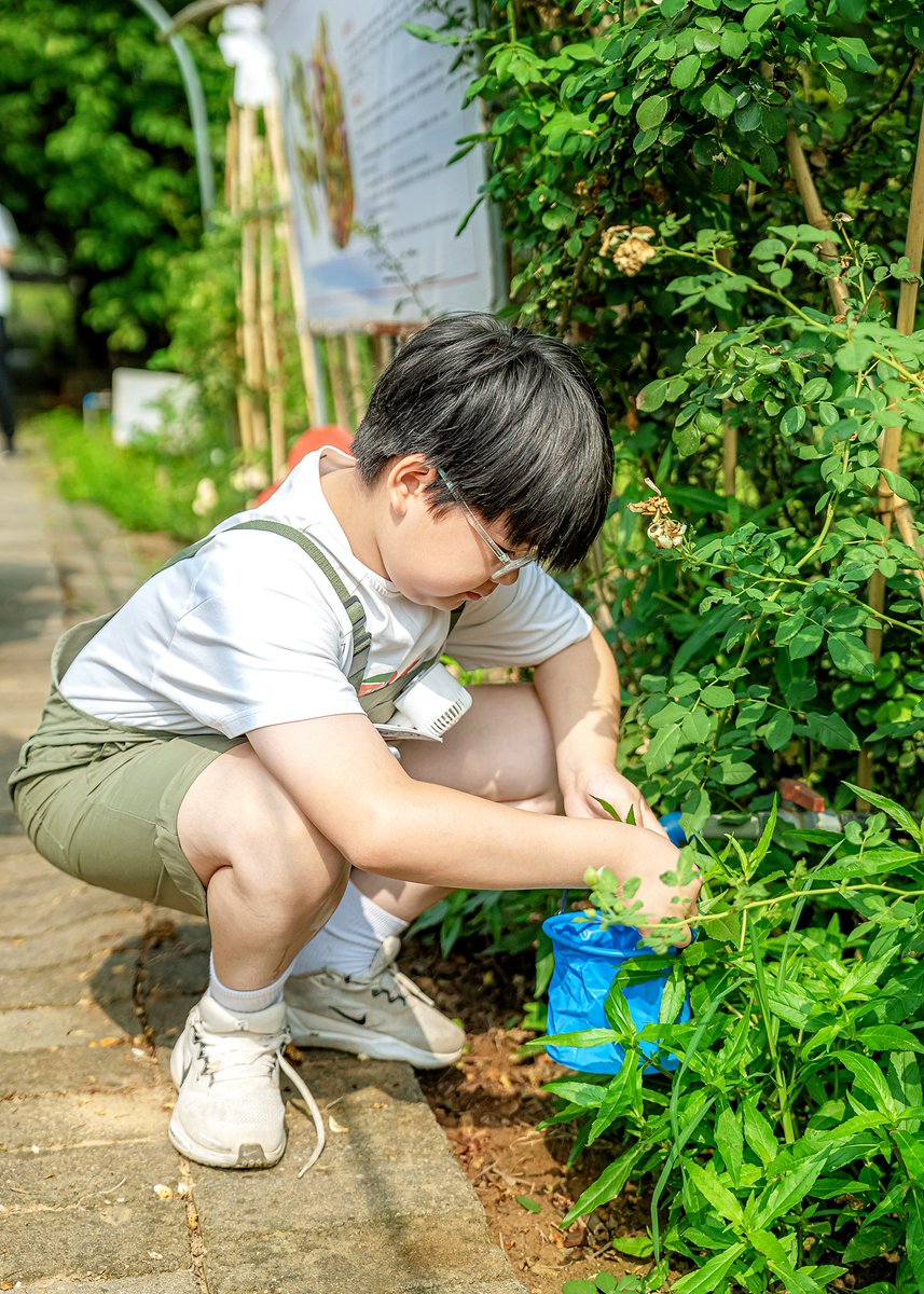 Black_Pulse's tweet photo. Morning with my little explorer—we hunted for toy dinosaurs in the backyard, laughed till our tummies hurt, and turned a messy yard into a prehistoric adventure. No screen, just pure fun with my favorite sidekick! https://t.co/NopX7BdFvA