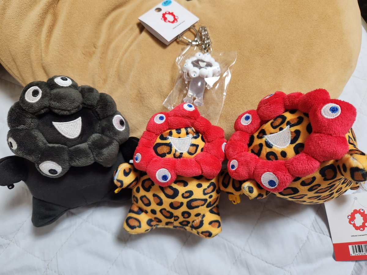 t_explosion's tweet photo. 本日の戦利品

大丸でもっちり豹柄立ち・横
クリアキー

アバンザでもっちり黒立ち

もっちり黒はあと4体だった危なかった…！ https://t.co/jjhJKRo5I8