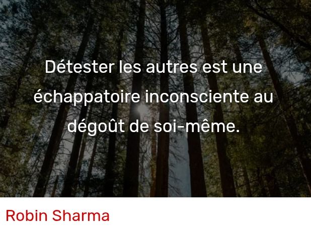 SERGECHRISTO's tweet photo. @BRINDILLE851 Merci Robin Sharma pour tes paroles https://t.co/OX6indsJWU