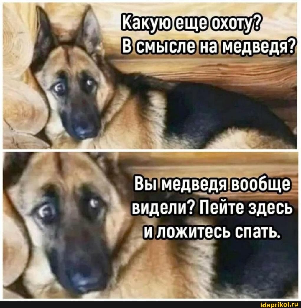 MaccaKOT's tweet photo. @lisec_tut @Migeres https://t.co/TWfJOTHhL3
