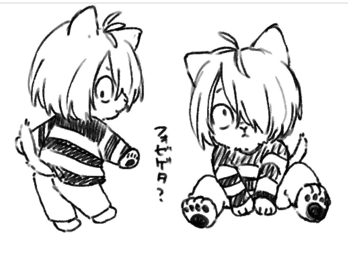 sazuki_0223's tweet photo. 🐈 https://t.co/25ysiWCG4R