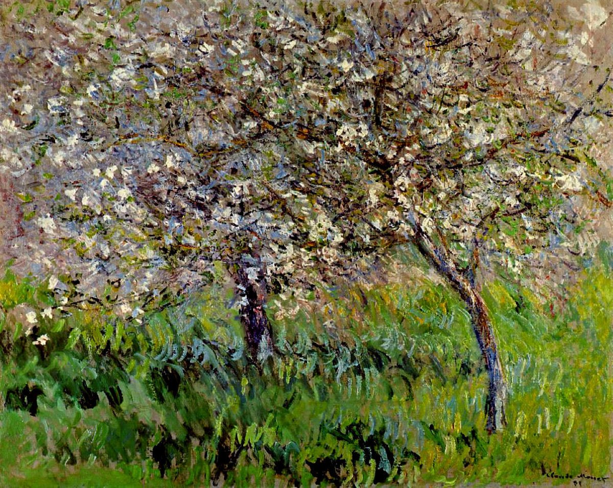 artistmonet's tweet photo. Apple Trees in Bloom at Giverny - 1900 #artbots #monet https://t.co/CPVG3wDQKP