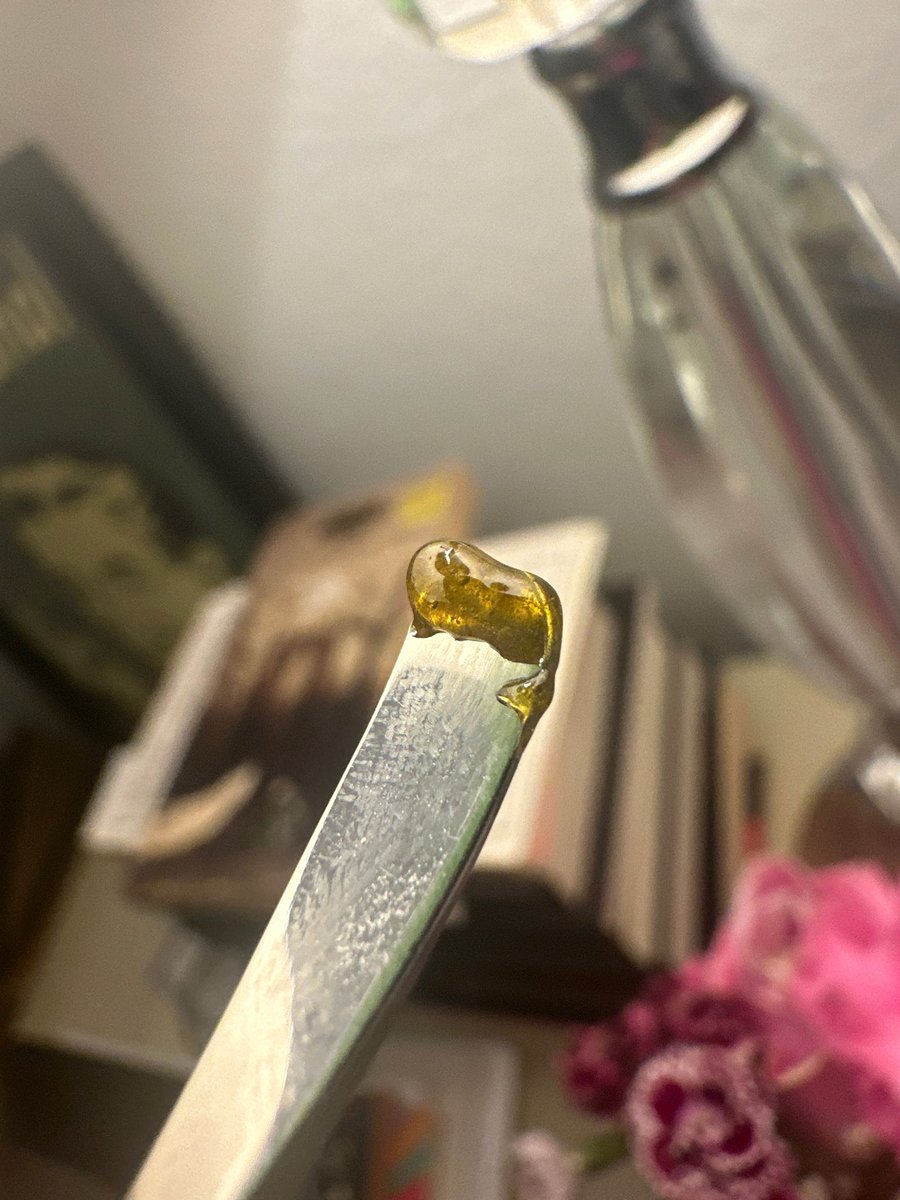 CityGas15205's tweet photo. Blueberry Muffin made into some fresh pressed flower rosin 😋 was very smooth and potent! 
North Houston, Spring, Woodlands weed gas za exotics #nawfhtx https://t.co/yMR52YnU9c
