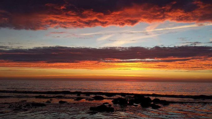 Havenlust tweet picture