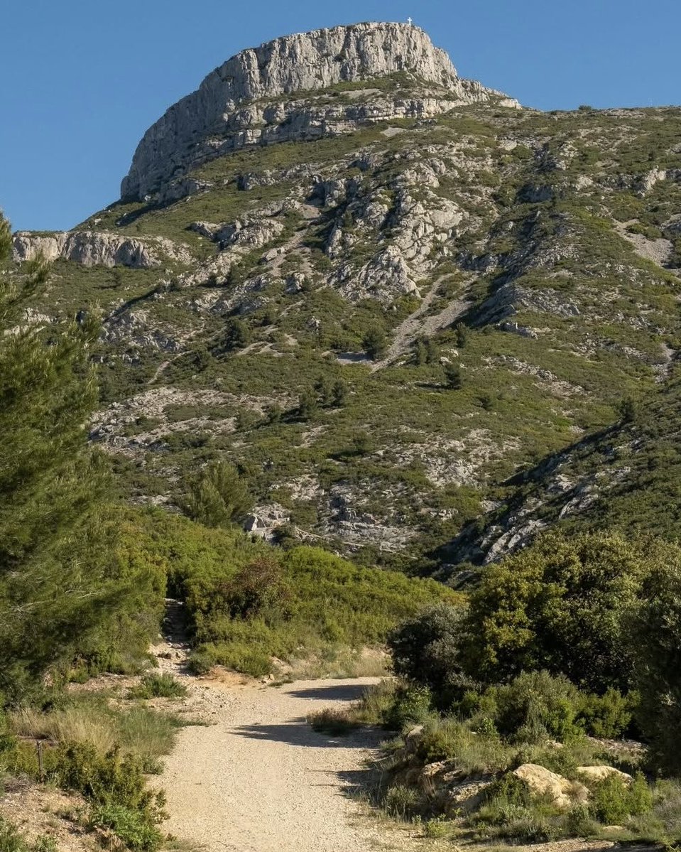 MarcelPagnol's tweet photo. ✍️ "Le puissant soleil de juillet faisait grésiller les cigales : sur le bord du chemin muletier, des toiles d’araignée brillaient entre les genêts. […] Je posais les sandales dans mes pas de l’année dernière, et le paysage me reconnaissait."
— M. Pagnol, Le Temps des secrets https://t.co/FfbY7RPYgN